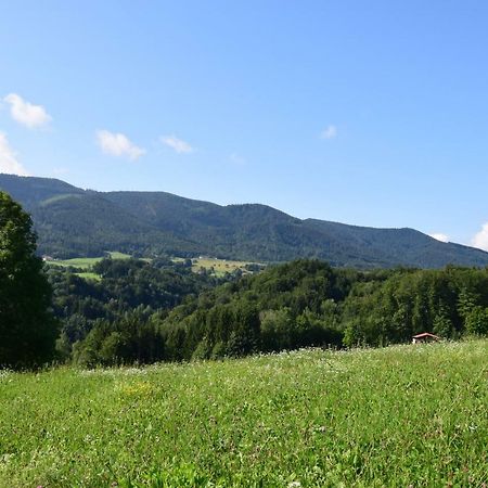 Teisenbergblick Apartment Teisendorf Luaran gambar